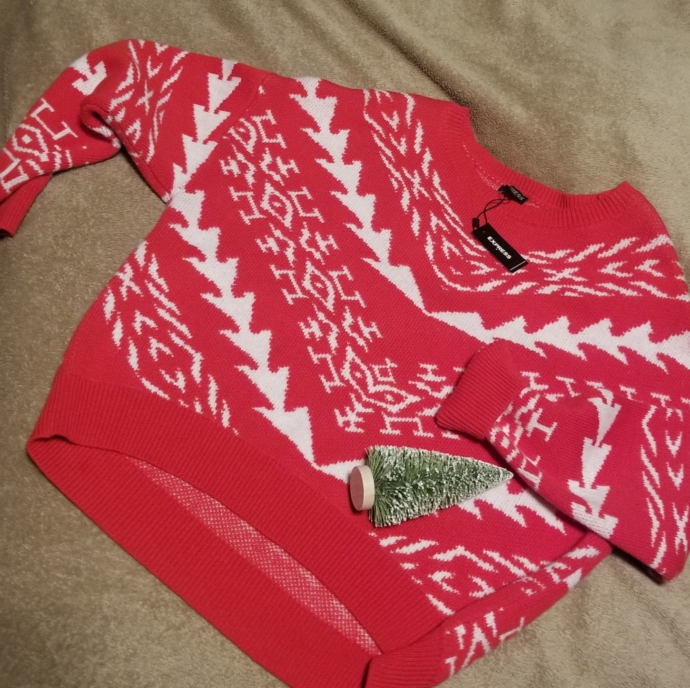 Express sweater